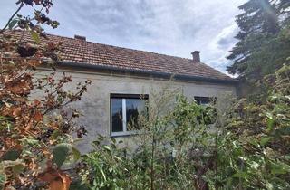 Haus kaufen in Neufelderstr., 7053 Hornstein, ,,Kleines Haus und großer Obstgarten in Hornstein!"