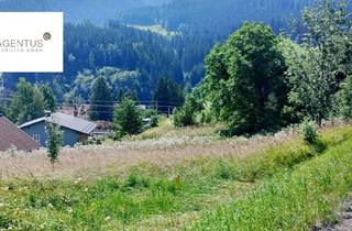 Grundstück zu kaufen in 8685 Steinhaus am Semmering, Land- und Forstwirtschaftliches-Grundstück in Steinhaus am Semmering - Nur 20.500 €!