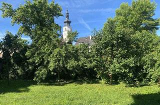 Wohnung mieten in 3433 Königstetten, "Jungfamilienwohnung mit Garten und Parkplatz"