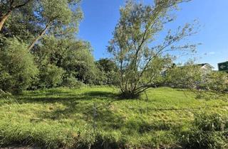 Grundstück zu kaufen in 4400 Sankt Ulrich bei Steyr, Wohnbaugrund ohne Bebauungsplan und Bauzwang - an die Stadt Steyr Angrenzend!