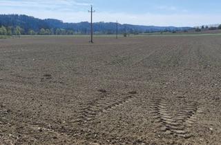 Grundstück zu kaufen in Hauptstrasse, 8081 Heiligenkreuz am Waasen, Gewerbegrundstück Ca. 20.0000 m² im Großraum von Graz und Leibnitz Perfekte Vorraussetzungen Für Betriebsansiedlung Gegeben Bd 0,2 - 0,6