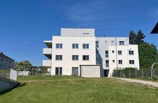 Wohnung mieten in Kremstalstraße 30A, 4501 Neuhofen an der Krems, Ruhige Wohnung in Zentraler Lage