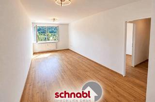 Wohnung kaufen in Mensdorffstraße, 4225 Luftenberg, Generalsanierte Anlagewohnung