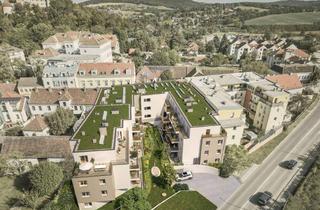 Wohnung mieten in 3040 Neulengbach, Neubau - 4 Zimmerwohnung mit großer Terrasse