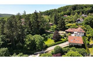 Haus kaufen in 3001 Mauerbach, MAUERBACH-STEINBACH | Außergewöhnliche Liegenschaft in idyllischer Ruhe- & Parklage auf bis zu 4.242 m² Grund | ZELLMANN IMMOBILIEN