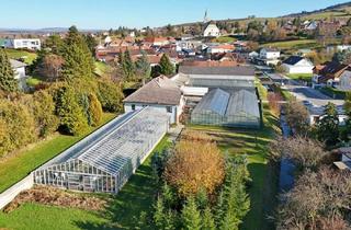 Gewerbeimmobilie kaufen in 3434 Katzelsdorf, Gärtnerei nahe Tulln & Wien: Betriebsimmobilie mit Glashäusern und Wohnhaus - Umwidmung möglich