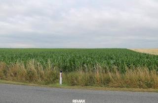 Gewerbeimmobilie kaufen in 2011 Sierndorf, "Landwirte aufgepasst!"