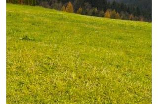 Grundstück zu kaufen in Vorderlanersbach, 6293 Tux, Baugrund