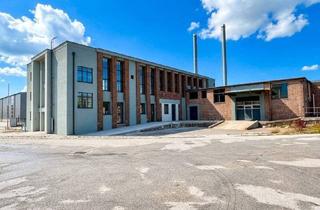 Büro zu mieten in 2630 Ternitz, NEU! ERSTBEZUG! Flexibel zu gestaltendes Büro/Praxis in ehemaliger Fabrik zu vermieten! 3,8 Meter hohe Decken!