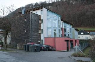 Wohnung mieten in Pingitzzerkai, 5400 Hallein, Geförderte 2-Zimmer Wohnung inkl. Tiefgaragenplatz in Hallein zu vermieten