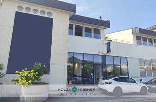 Büro zu mieten in 5101 Bergheim, Großzügige Produktions-, und Büroflächen