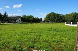 Grundstück zu kaufen in 3435 Pischelsdorf, "761 m² traumhafter Eigengrund Nähe Tulln an der Donau"