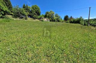 Grundstück zu kaufen in 9072 Ludmannsdorf, Preisreduktion! UNVERBAUBARER RÜCKZUGSORT MIT ATEMBERAUBENDEM PANORAMA