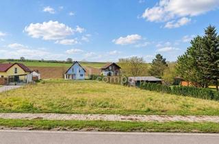 Grundstück zu kaufen in Poysdorf, Mistelbach Und A5 Nordautobahn, 2161 Poysbrunn, Ohne Bauzwang: 928 m² Baugrund mit Teilungspotenzial in Poysbrunn