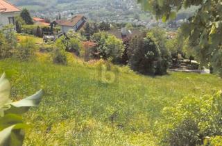 Grundstück zu kaufen in 3400 Klosterneuburg, Sonniges Baugrundstück in Südlage am Ölberg mit Fernblick