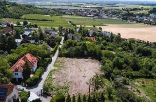 Grundstück zu kaufen in Waldmüllerstraße, 2102 Hagenbrunn, Südseitig am Veigelberg!