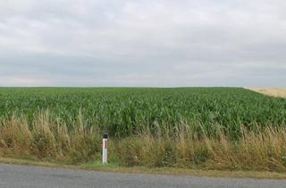 Immobilie kaufen in Stockerau, 2011 Sierndorf, Landwirte Aufgepasst!