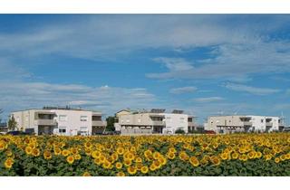 Wohnung mieten in 7023 Zemendorf, Wohnung mit Garten in Zemendorf