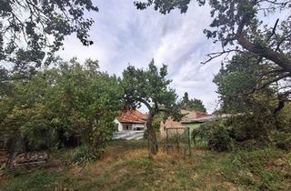 Grundstück zu kaufen in 7053 Hornstein, Großes Grundstück 5.143 m² in Hornstein - Baugrund und Grünland