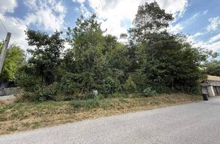 Grundstück zu kaufen in 2821 Lanzenkirchen, Baugrund 440m² mit Garage und Grünblick in 2821 Lanzenkirchen – nur 70.400 €!