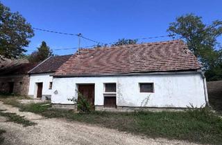 Gewerbeimmobilie kaufen in 2144 Altlichtenwarth, Traditionelles Presshaus mit historischem Keller in Altlichtenwarth