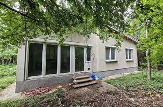 Haus kaufen in 2440 Gramatneusiedl, "SANIERUNGSPROJEKT MIT VIEL POTENZIAL | ca. 1.085 m² Grundstücksfläche | Ruhelage in Mitterndorf an der Fischa"