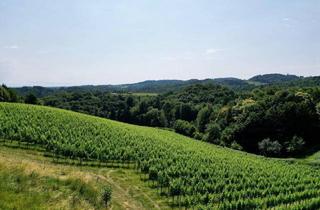 Grundstück zu kaufen in 8462 Eckberg, Ein Logenplatz an der Südsteirischen Weinstraße: Exklusives Chalet-Grundstück mit spektakulärem Panoramablick