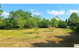 Grundstück zu kaufen in 3133 Gemeinlebarn, Gemeinde Traismauer: ca. 1.500m² Bauland-Kerngebiet mit Altbaumbestand in Gemeinlebarn zu kaufen