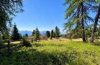 Grundstück zu kaufen in 9853 Gmünd, EIN PLATZ FÜR IHRE TRÄUME – BAUGRUNDSTÜCK MIT FREIZEITWOHNSITZWIDMUNG AM STUBECK!