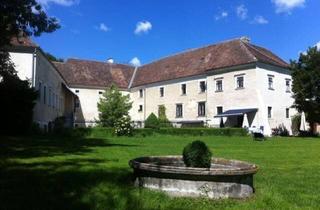 Garagen kaufen in 2051 Deinzendorf, Historische Schlossmühle mit einzigartigem Renaissance-Raum – Ein einzigartiges Juwel für Liebhaber und Investoren!