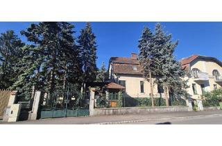 Einfamilienhaus kaufen in 2103 Langenzersdorf, Einfamilienhaus mit Einliegerwohung auf parkähnlichem Eigengrund