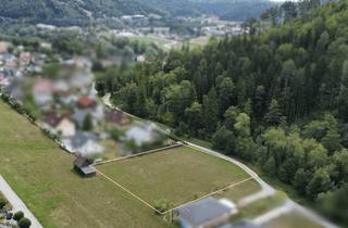 Grundstück zu kaufen in 8114 Kleinstübing, Baugrundstück in Kleinstübing am Waldesrand