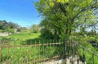 Einfamilienhaus kaufen in 7100 Neusiedl am See, Zentrales Einfamilienhaus in Neusiedl am See für Wohnen, Praxis, Stauraum,...