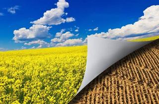 Immobilie kaufen in 2325 Himberg, Biologische Landwirtschaft!