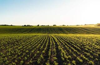 Immobilie kaufen in 2325 Himberg, Biologische Landwirtschaft!