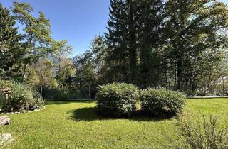 Wohnung kaufen in 4813 Altmünster, charmante, leistbare Wohnung mit Blick ins Grüne