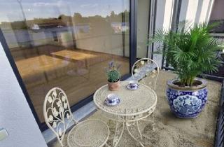 Wohnung mieten in 3133 Traismauer, Neubau: Besonders attraktive 3-Zimmer Wohnung mit Balkon