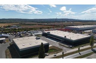 Gewerbeimmobilie mieten in 2460 Bruck an der Leitha, Logistics Park Bruck A4