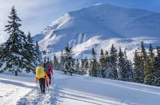 Grundstück zu kaufen in 9546 Aigen, Freizeitwohnsitz-Ski in/Ski Out- Grundstück für 2 baugenehmigte Chalets in St Oswald/Bad Kleinkirchheim