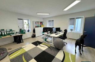 Gewerbeimmobilie kaufen in 2514 Traiskirchen, Attraktive Bürofläche in Traiskirchen | 129 m² | Ruhige Lage