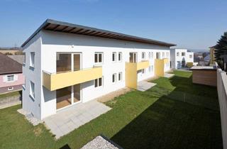 Wohnung mieten in Kirchenberg, 3393 Matzleinsdorf, ZELKING-MATZLEINSDORF I, geförderte Mietwohnung mit Kaufoption, EG TOP 5, 1000/00010820/00001105