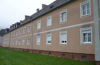 Wohnung mieten in Neue Heimat 11, 8661 Wartberg im Mürztal, Singlewohnung in St. Barbara im Mürztal