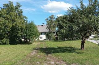 Grundstück zu kaufen in 5204 Straßwalchen, Steindorf bei Strasswalchen: Obstgarten 1, 635 m² Für ihr Neues Zuhause!