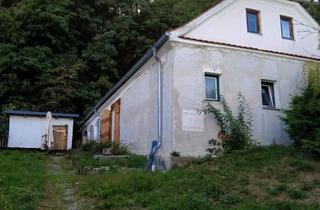 Bauernhäuser zu kaufen in 7503 Jabing, Charmantes Bauernhaus in Ruhiger Lage