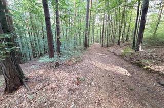 Gewerbeimmobilie kaufen in 8063 Eggersdorf bei Graz, Naturverbundener Grundbesitz – großzügige Waldfläche in Eggersdorf bei Graz