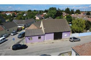Einfamilienhaus kaufen in 2471 Rohrau, Charmantes Einfamilienhaus mit Garten, Lagerhalle und modester Ausstattung in Pachfurth!