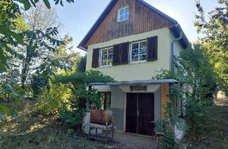 Gewerbeimmobilie kaufen in 7474 Eisenberg an der Pinka, Kleines Haus, großer Zauber – Kellerstöckl am Eisenberg