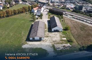 Gewerbeimmobilie mieten in 8230 Hartberg, Lager- / Gewerbehalle mit 500 m² Nutzfläche in Hartberg zu vermieten – Erweiterung auf 1000 m² möglich