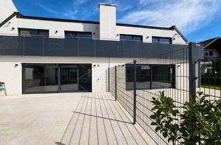 Haus mieten in 2514 Traiskirchen, Zwei edle Doppelhaushälften zu vermieten: mit Poolhalle oder mit Sauna + Fitnessraum!