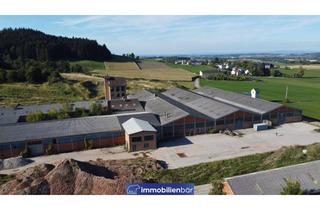 Grundstück zu kaufen in 4906 Eberschwang, 10.000 m2 KALTLAGERHALLEN – Kauf oder flexible Teilanmietung